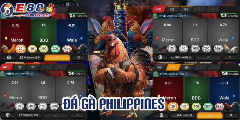 Lý do nên tham gia cược đá gà Philippines
